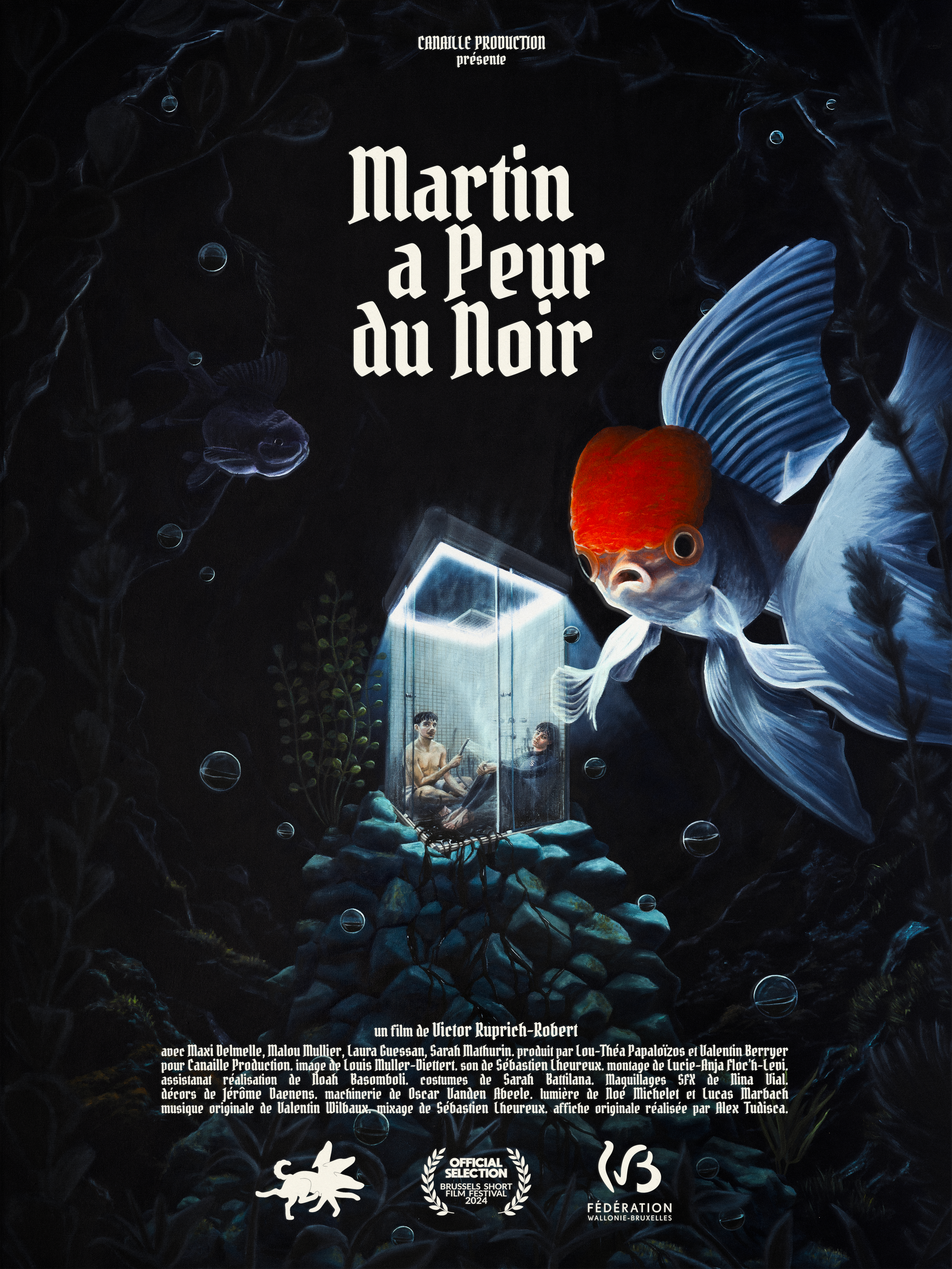 Affiche du film